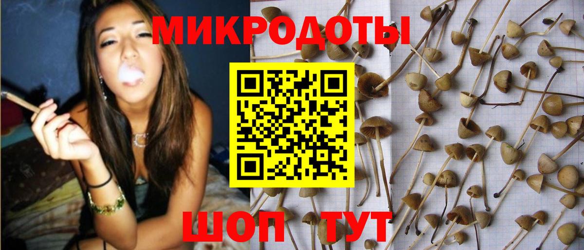 Кинель  Галлюциногенные грибы мухоморы  Вход с VPN 